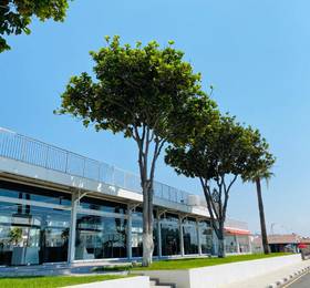 Туры в Lysithea Hotel Apts  в Кипре