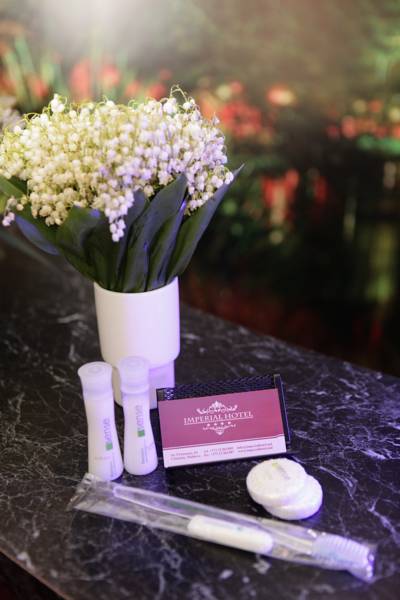 Imperial Hotel  4*