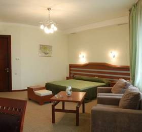 Туры в Hotel Vedzisi в Грузии