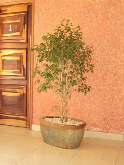 Hotel Aloha  3* Никарагуа, Манагуа