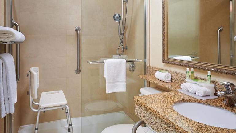 Holiday Inn Express North York 
