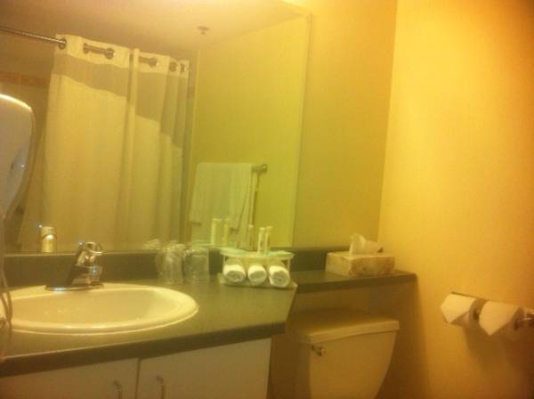 Holiday Inn Express Montreal Centreville  3*