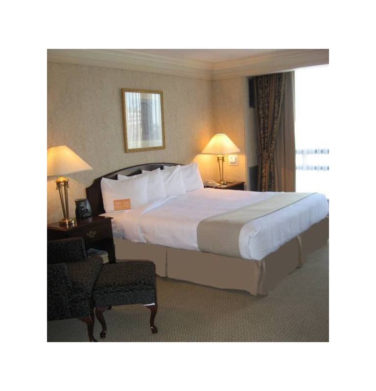 Holiday Inn & Suites Ottawa-Downtown 