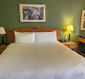 Туры в Holiday Inn Express San Jose-Central City  в США