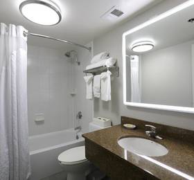 Туры в Holiday Inn O'Hare Area  в США