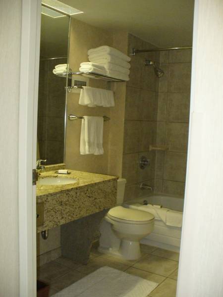 DoubleTree by Hilton - Toronto Airport  3*