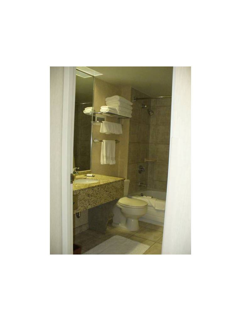DoubleTree by Hilton - Toronto Airport 