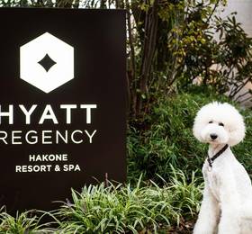 Туры в Hyatt Regency Hakone Resort and Spa  в Японии