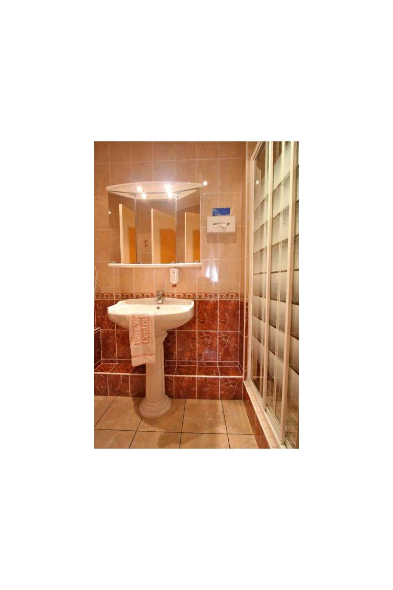 Best Western Central Hotel 
