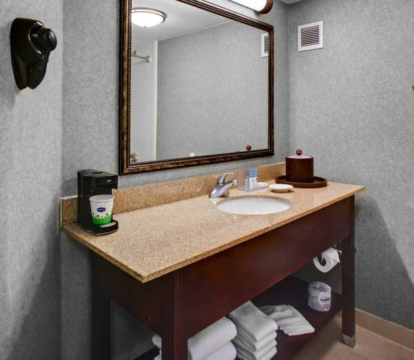 Hampton Inn Atlanta Perimeter Center  3* США, Атланта