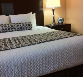 Туры в Hotel Elegante Conference and Event Center  в США