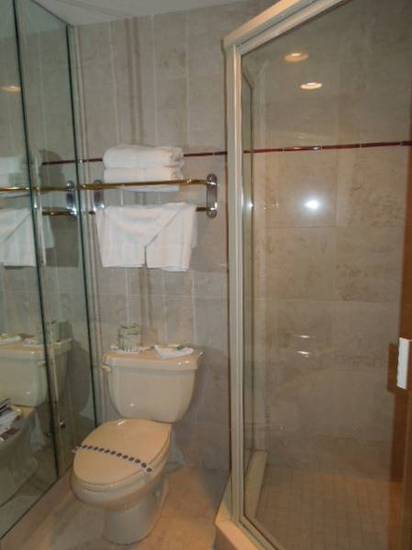 Best Western on the Avenue  3* США, Буффало