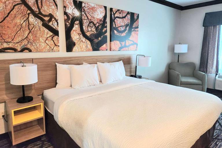 Best Western Plus Siegen Inn 