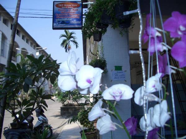 T T Ocean View Guest House 1* Таиланд, Чонбури