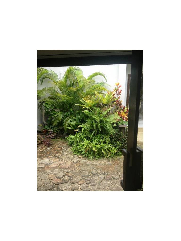 Bliss Resort Khlong Muang 