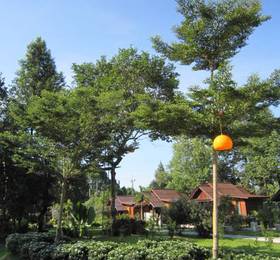 Orange Tree House Aonang  в Краби-Ао Нанге