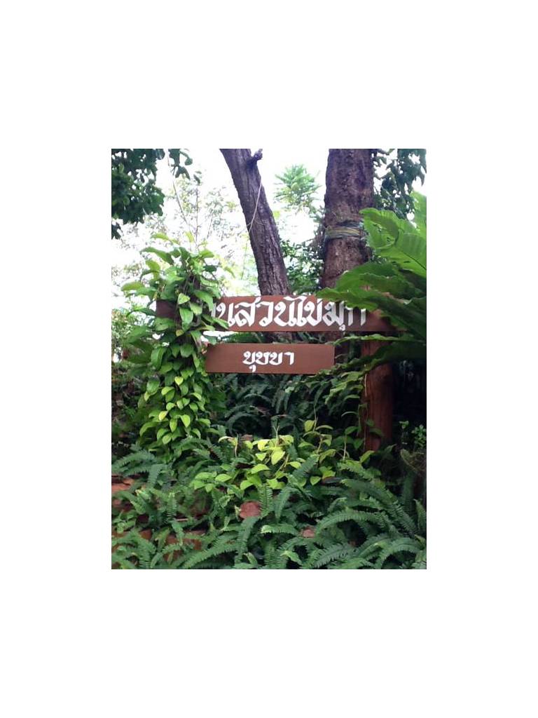 Baan Suan Kai Mook 