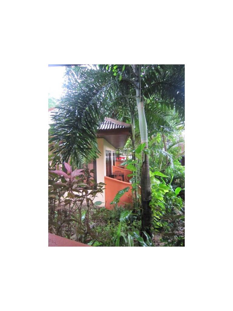 Aonang Beach Home