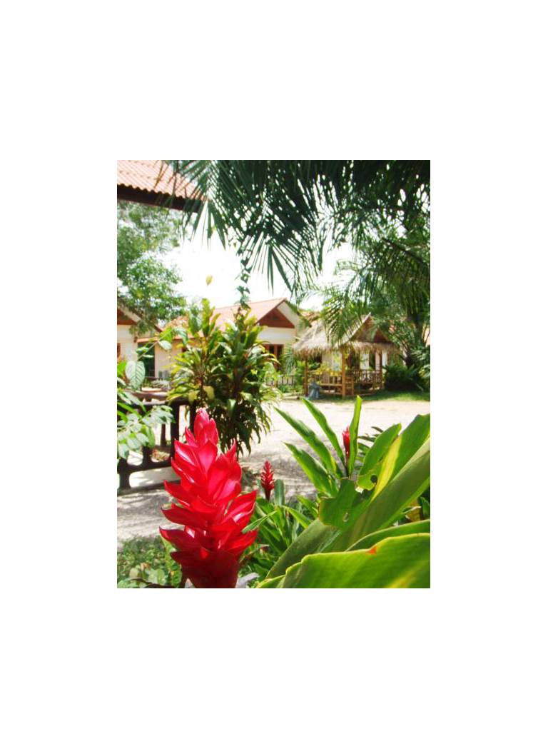Happiness Resort 