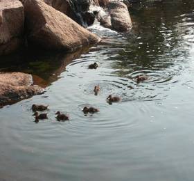 Отдых в Bagaglino I Giardini di Porto Cervo - Италия, Сардиния