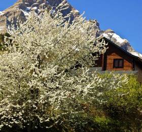 Туры в Aparthotel Piedrafita Lodge  в Испании