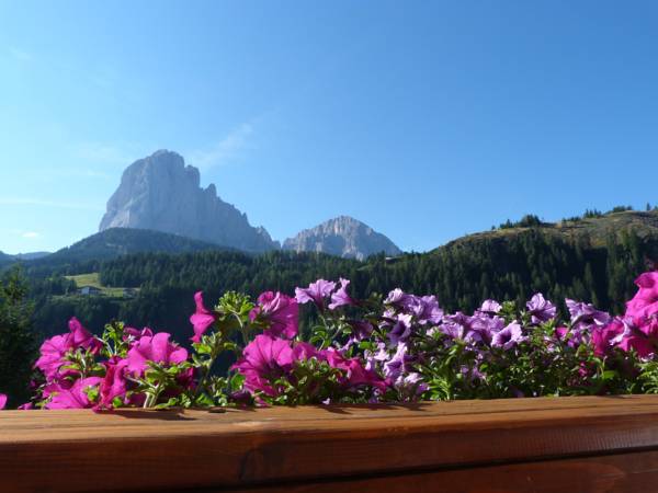 Bed Breakfast Villa Arnika Италия, Валь Гардена