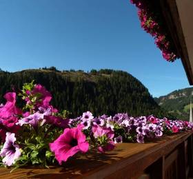 Туры в Bed Breakfast Villa Arnika в Италии