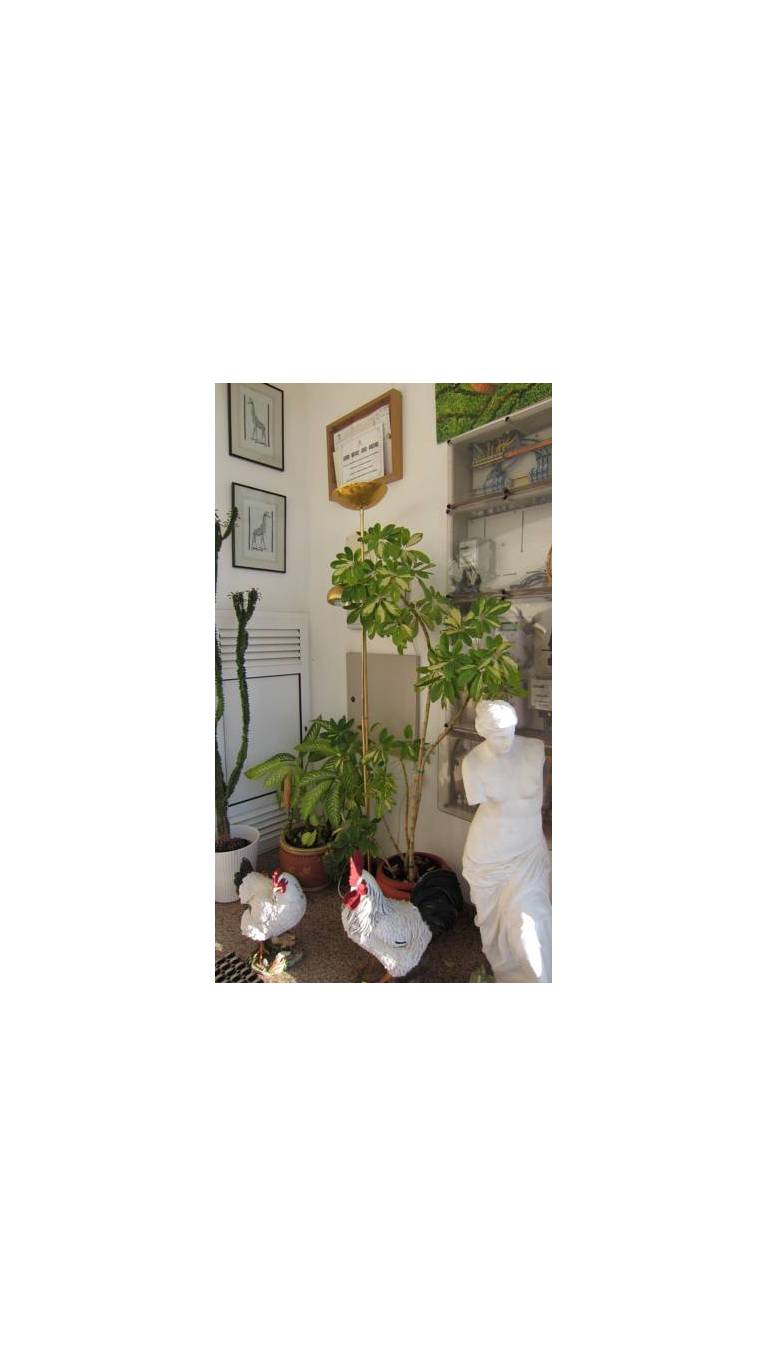 Apartamento Finca El Gallo 