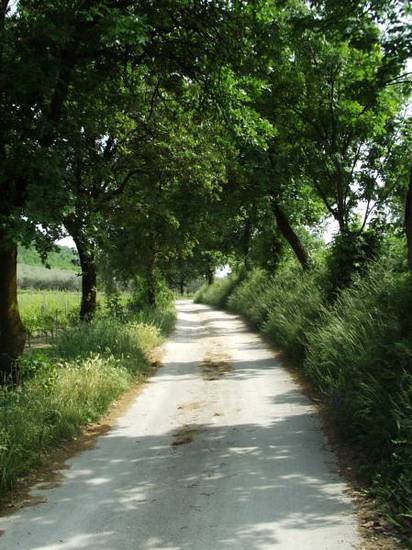 Agriturismo Ca' Castellani  Италия, Венето