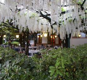 Отдых в Albergo Ristorante Papa  - Италия, Венето