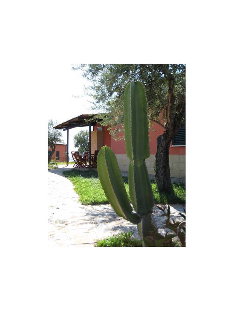 Residenza Mediterranea 
