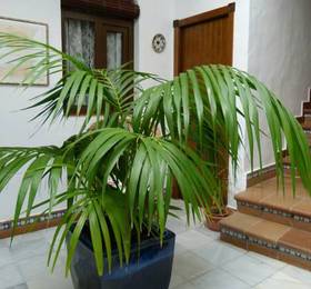 Hostal Santa Catalina  в Коста де ла Лузе