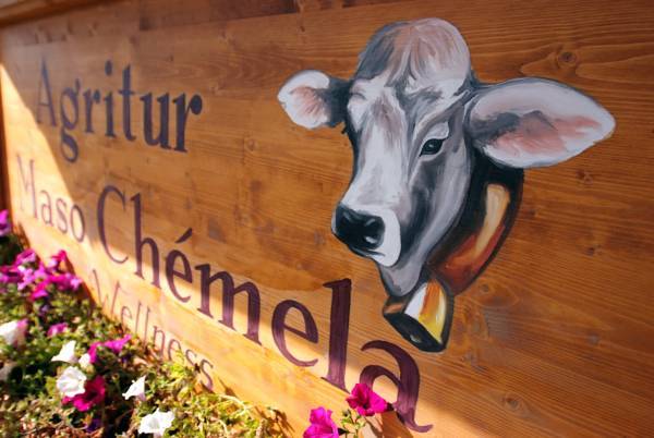 Agritur Maso Chemela  Италия, Трентино