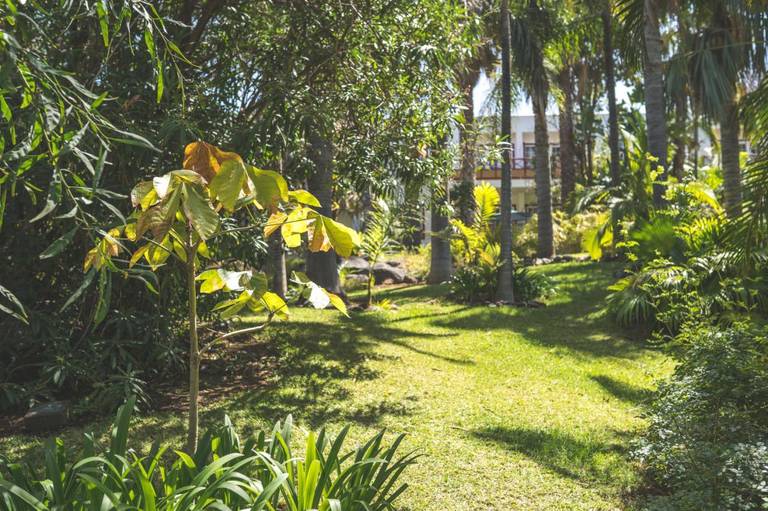 Hacienda San Jorge 