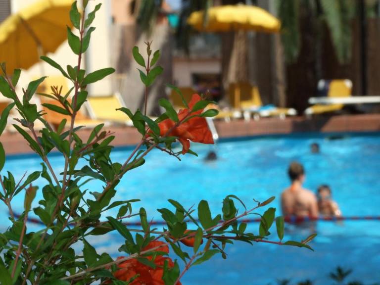Hotel Coccodrillo 
