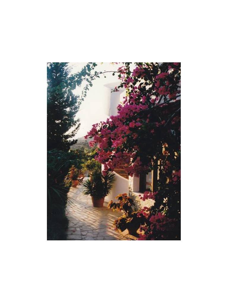 Pension Aphrodite 