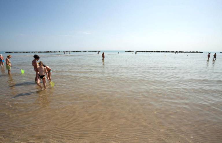 Hotel Nel Pineto 