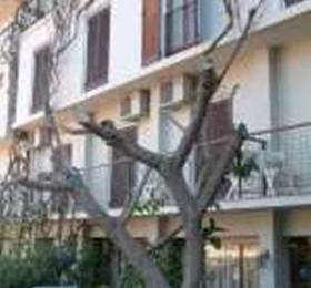 Туры в Dioscouri Hotel  в Греции