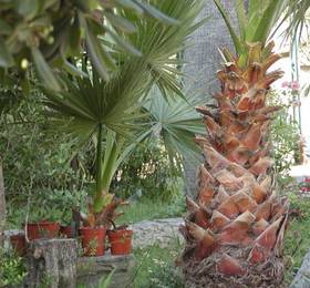 Hotel Marligure в Лигурии