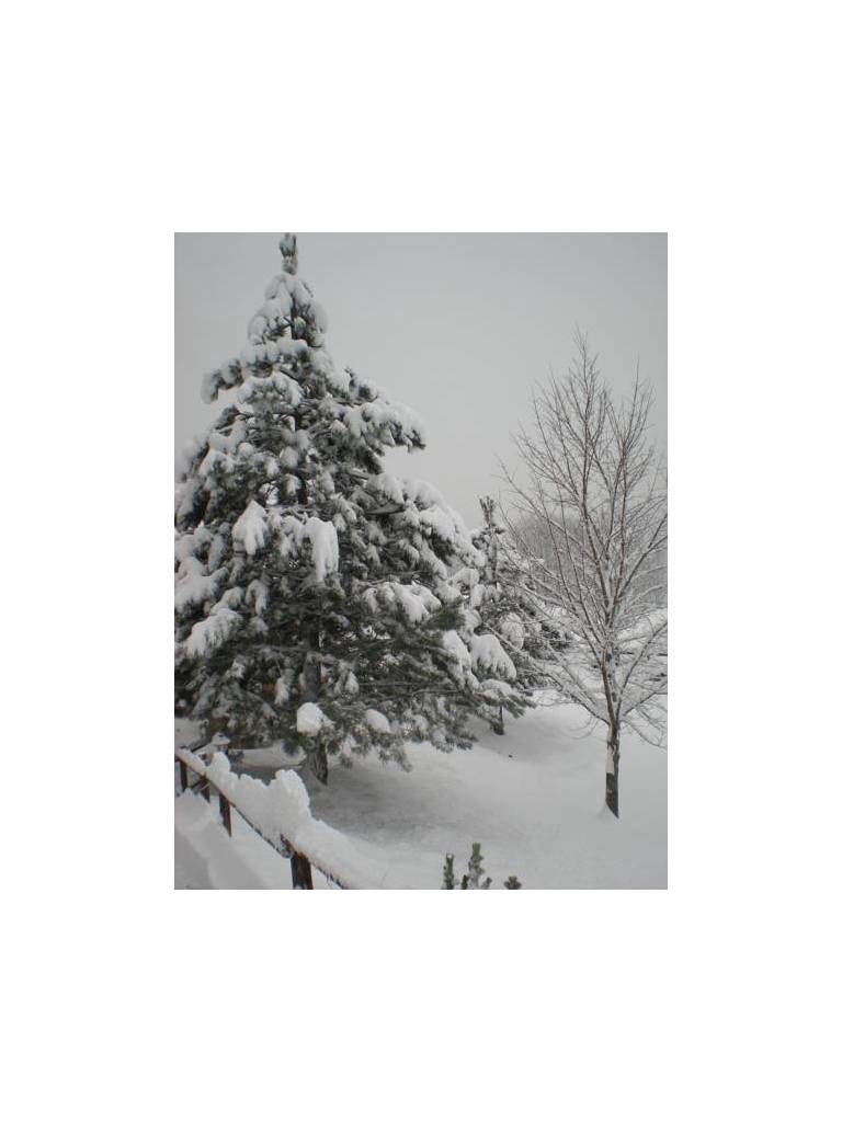 Chalet La Stua 