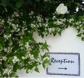 Туры в Sataru Resort  в Италии