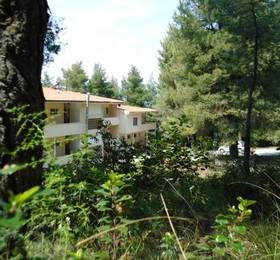 Отдых в Dryades Hotel - Греция, п-ов Кассандра (Халкидики)