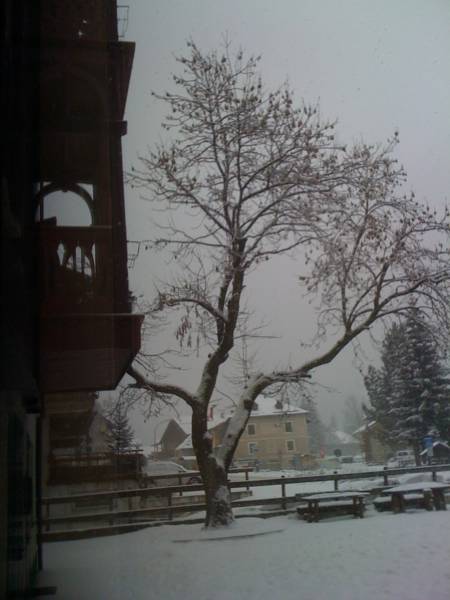 Albergo Piaz 2*