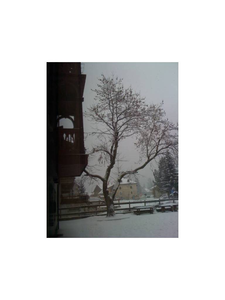 Albergo Piaz