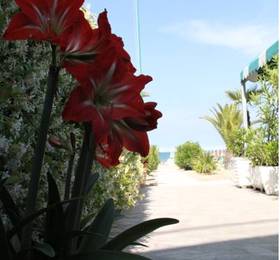 Туры в Hotel Fausto  в Италии