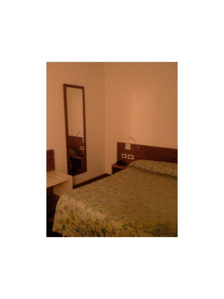Hotel Le Roi 