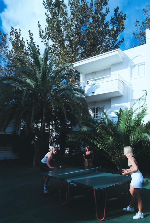 Palm Garden 