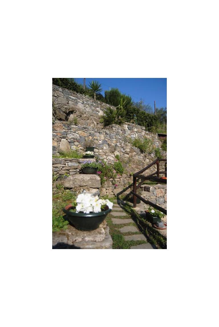 Il Ruscello 