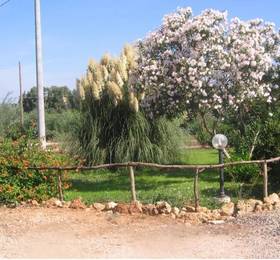 Отдых в B&B Alvi  - Италия, Сардиния