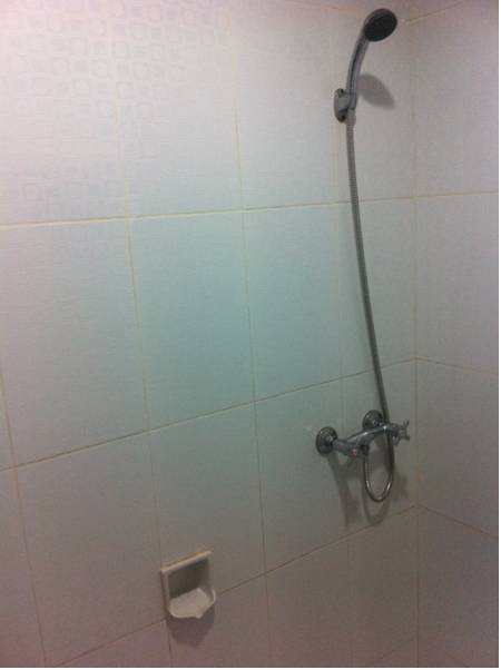 Puri Pangeran Hotel  2*